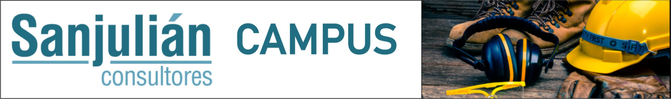 CAMPUS SANJULIAN CONSULTORES